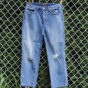 🌏 Risen - Distressed Button Fly Mom Jean - Size 11